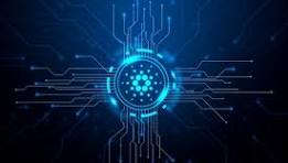 Dummy Title here image.